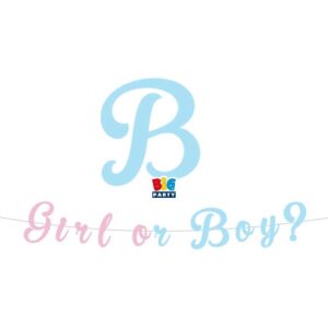 ART. P474 FESTONE SCRITTA ITALIC 300 X 15CM BABY GIRL OR BOY? PER PARTY, FESTA, GENDER REVEAL