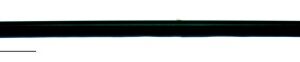 ART. 372 ELEMENTI AGGIUNTIVI IN ALL. VERN. VERDE X ASTA TELESCOPICA PER COLOMBACCIO CM. 120 PER CACCIA