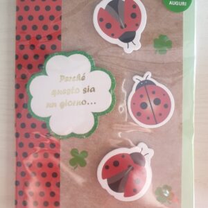 BIGLIETTO HALLMARK TANTI AUGURI " PERCHE' QUESTO SIA UN GIORNO..." CON COCCINELLA