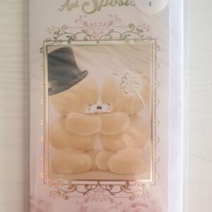 BIGLIETTO PORTA SOLDI MATRIMONIO HALLMARK CON ORSETTI