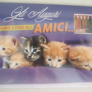 BIGLIETTO HALLMARK COMPLEANNO CON GATTINI