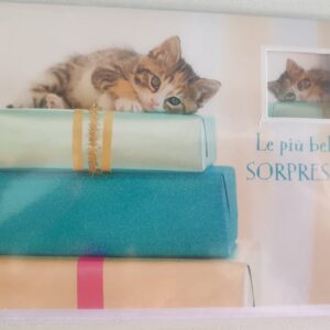 BIGLIETTO HALLMARK COMPLEANNO CON GATTINO "LE PIU' BELLE SORPRESE"
