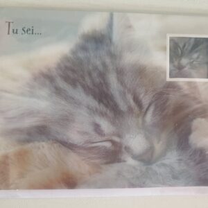BIGLIETTO HALLMARK COMPLEANNO CON GATTINO CON SCRITA ESTERNA: "TU SEI... "