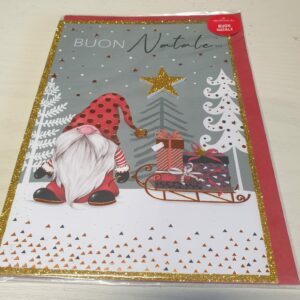BIGLIETTO NATALE GNOMETTO CON SLITTA PER AUGURI NATALE